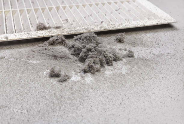 Best Air Vent Cleaning Services  in St Charles, MO
