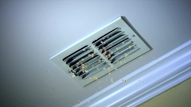 Best Professional Duct Cleaning Services  in St Charles, MO